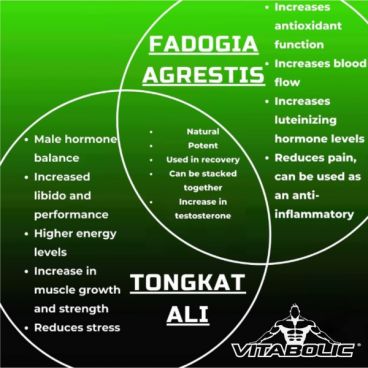 Imagine produs Tongkat Ali 100:1 extract